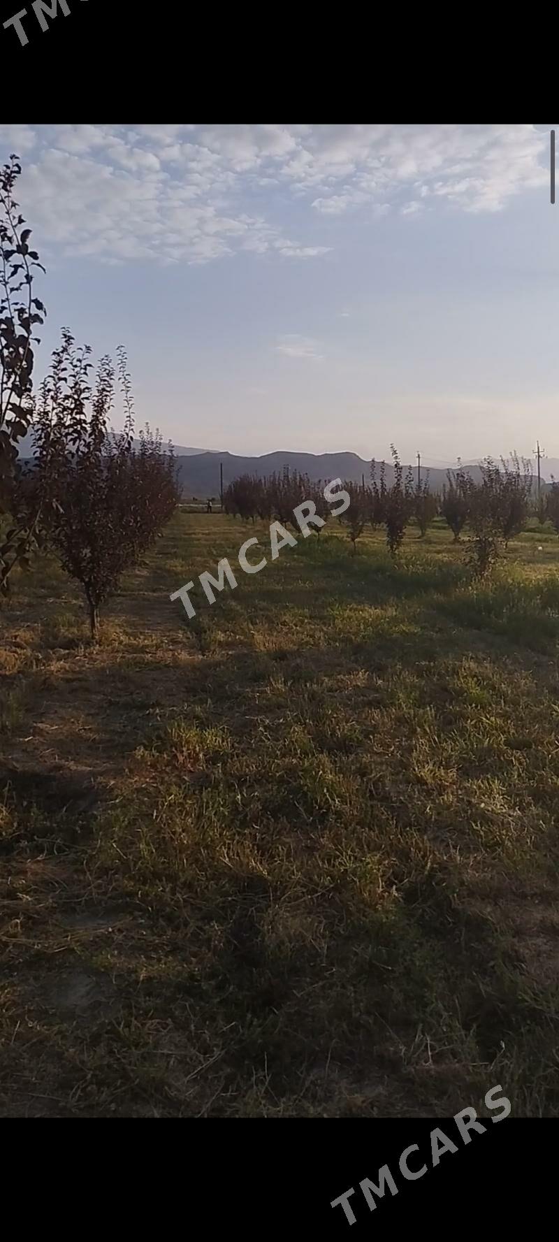 ekin ÿer - Гёкдепе - img 3