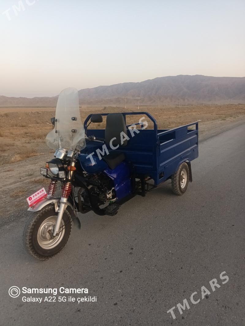 Fekon FK200-14G 2014 - 22 000 TMT - Бахарден - img 2