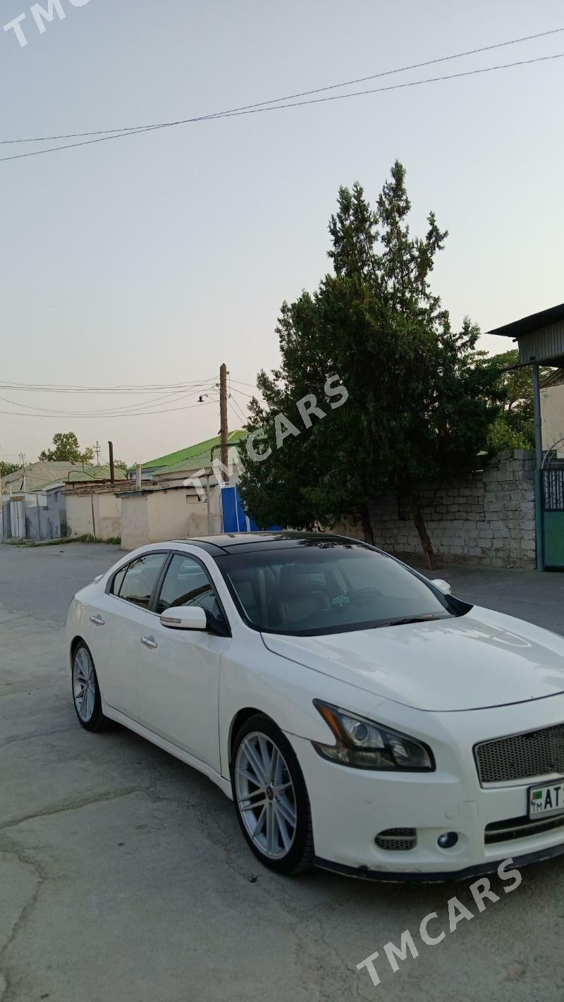 Nissan Maxima 2010 - 178 000 TMT - Aşgabat - img 8