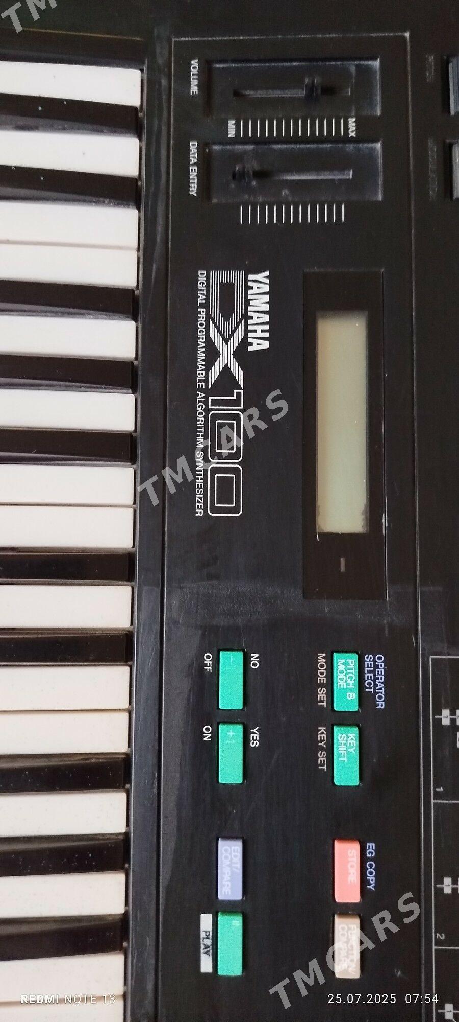 Yamaha DX100 - Мары - img 4
