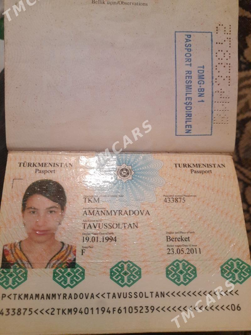 passport tapyldy - Türkmenbaşy - img 2