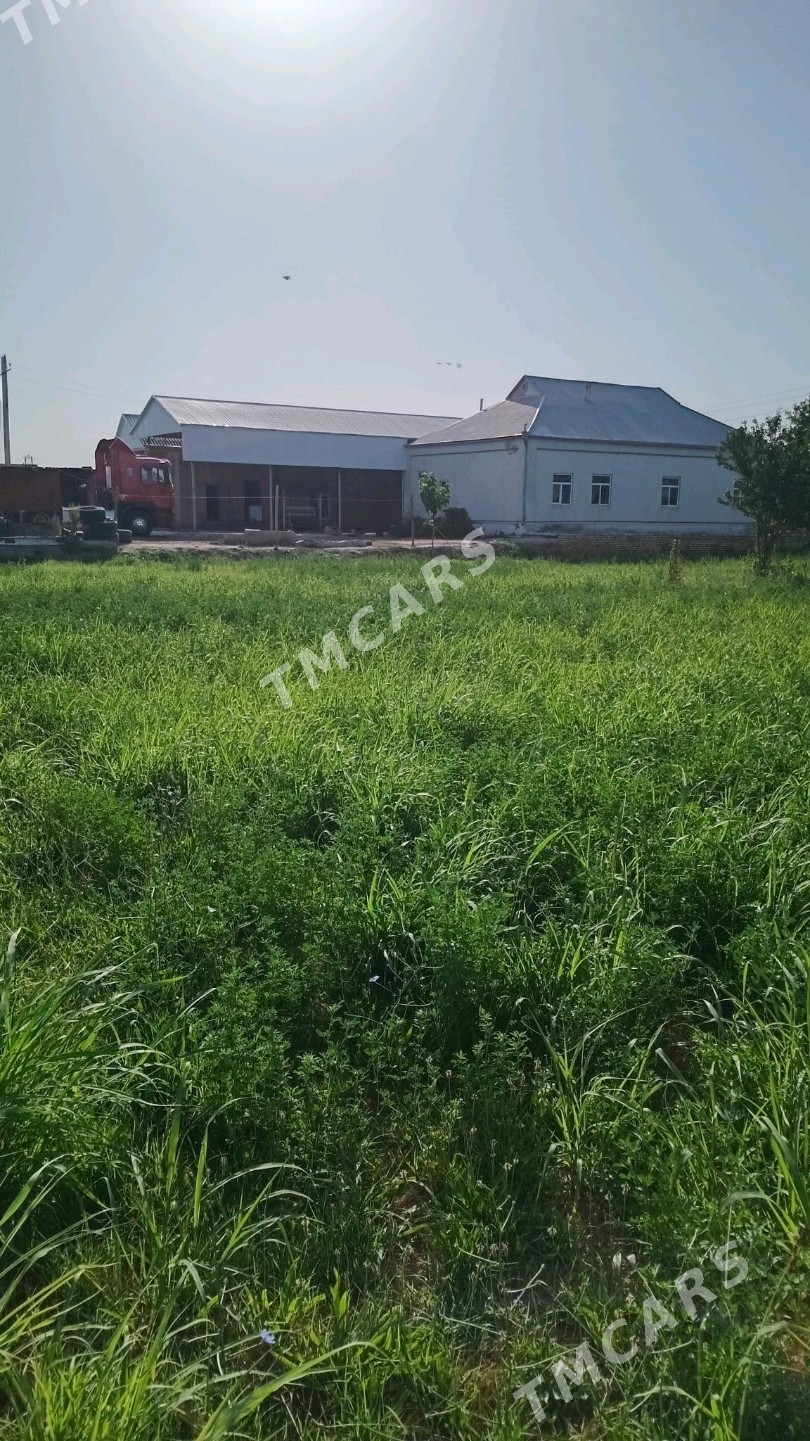 Сатлык  жай Wekilbazar - Векильбазар - img 2