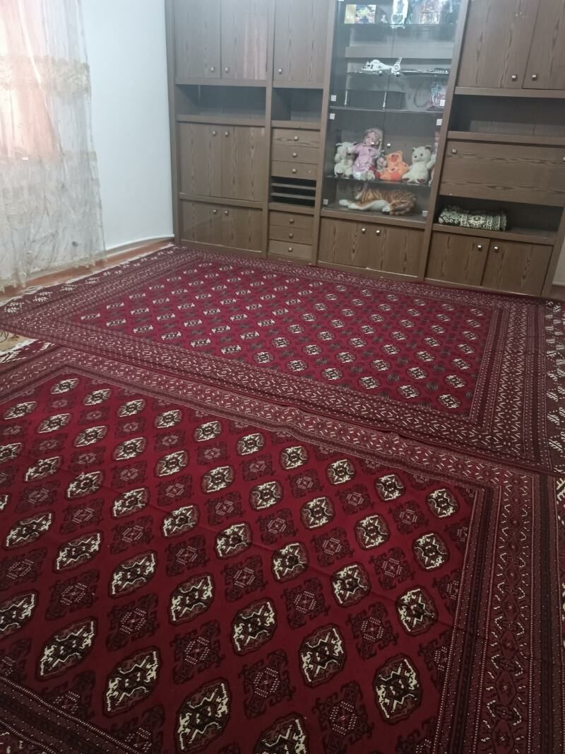 ARENDA JBI DAÇA - Ak bugdaý etraby - img 2