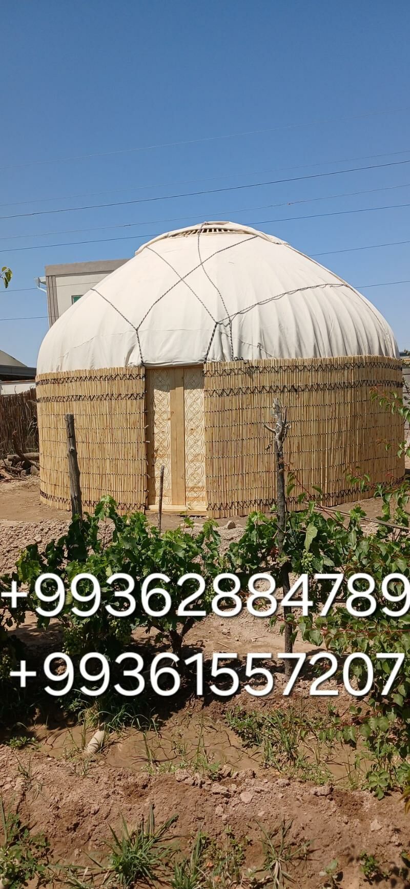 Ak öÿ gara öÿ gamyş - Aşgabat - img 2