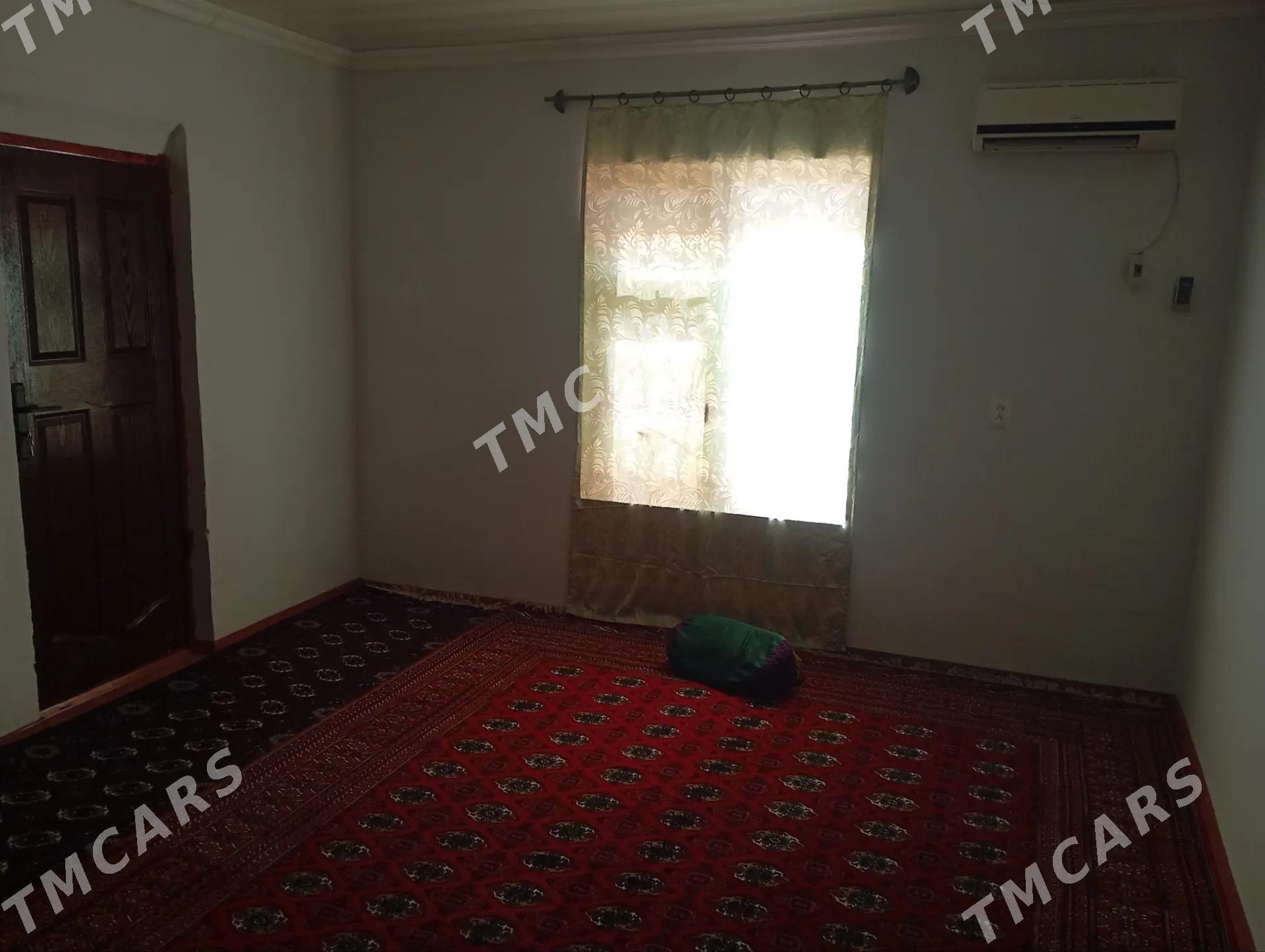 Gulmayakda gündemlik daça - Türkmenbaşy - img 3