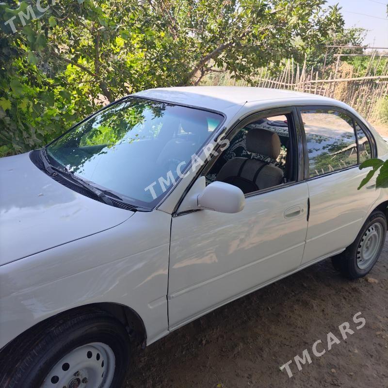 Toyota Corolla 1996 - 50 000 TMT - Görogly (Tagta) - img 3