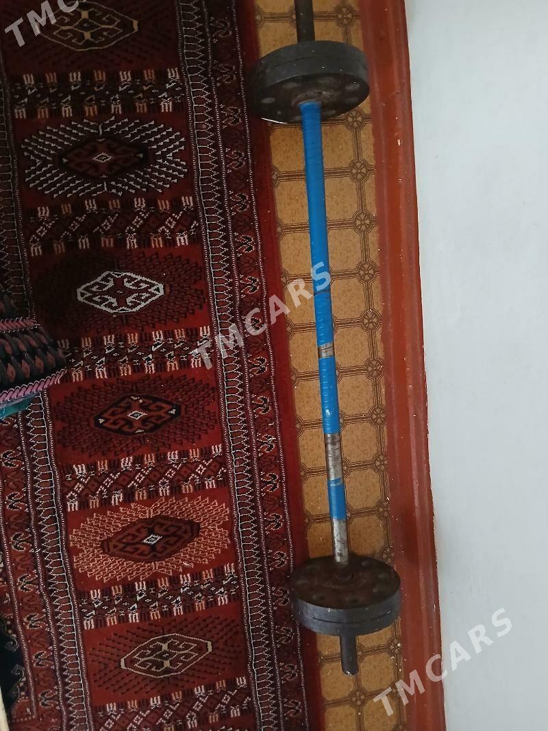 штанга 25 30 кг - Türkmenbaşy - img 2