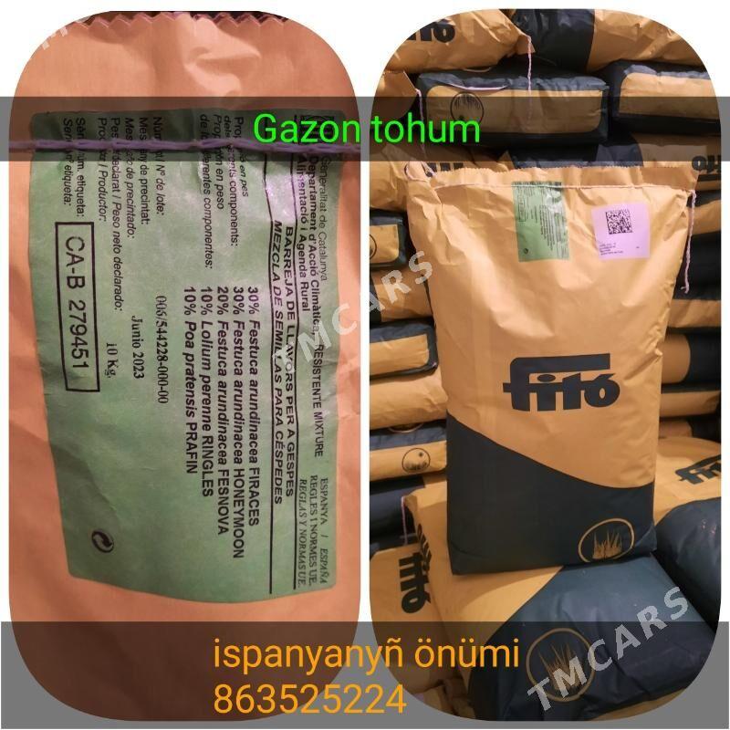 çim, gazon tohum - Änew - img 4