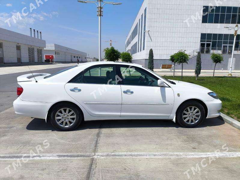 Toyota Camry 2005 - 195 000 TMT - Ak bugdaý etraby - img 5