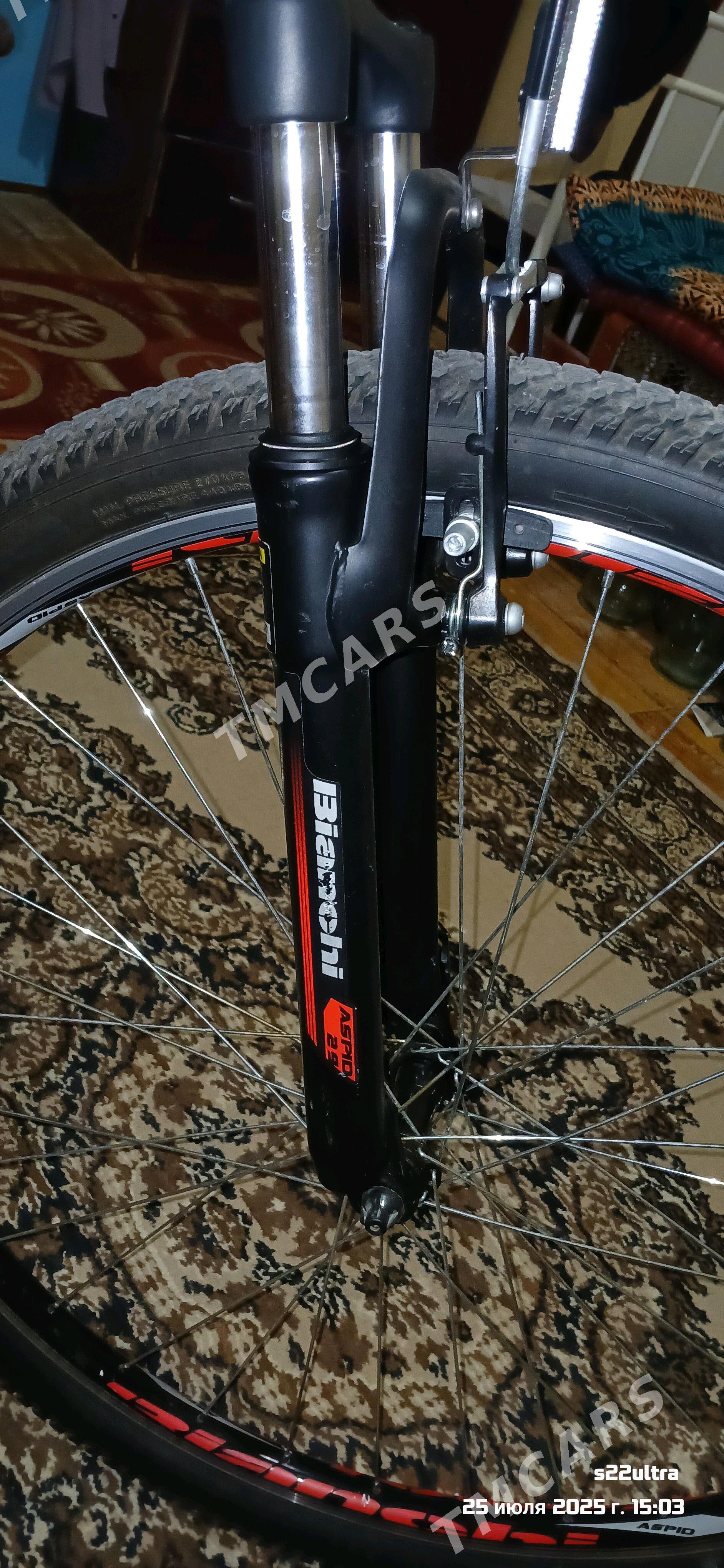 welosiped Bianchi aspid 29. - Türkmenabat - img 2