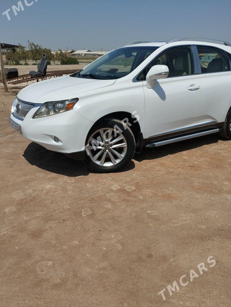 Lexus RX 350 2010 - 333 000 TMT - Köneürgenç - img 2