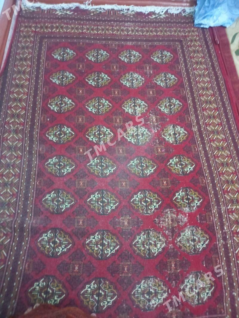 Haly - Türkmenbaşy - img 2