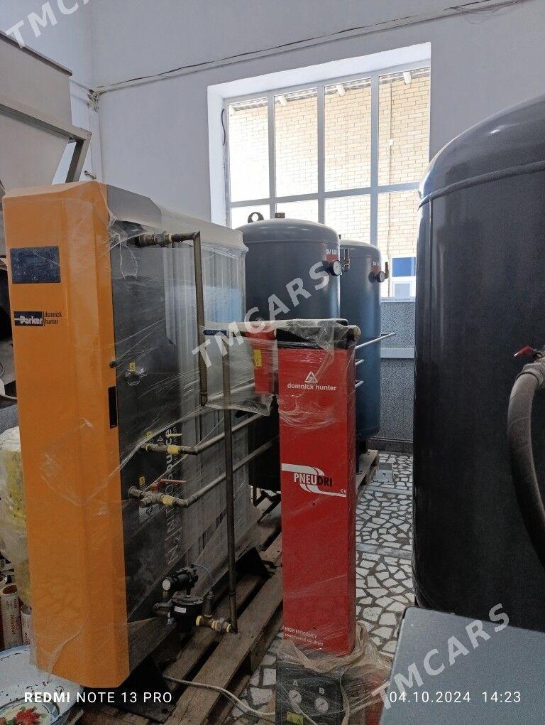 Generator - Mary - img 2