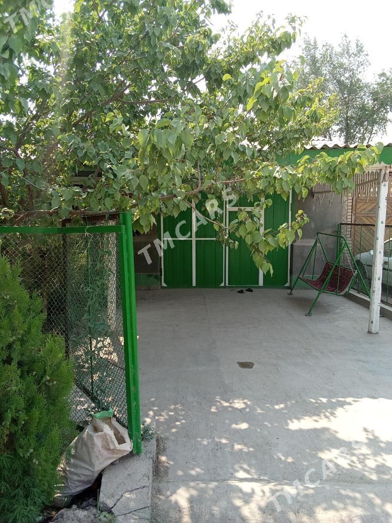 satlyk jay - Köneürgenç - img 3