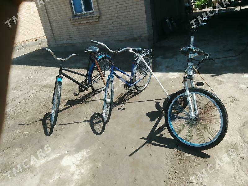 satlyk welikler - Dänew - img 2