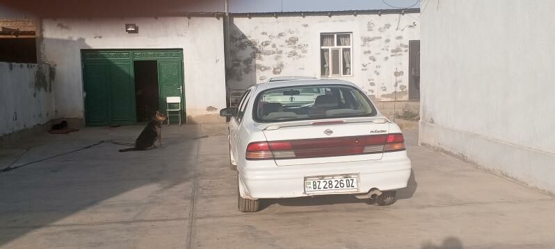 Nissan Cefiro 1995 - 36 000 TMT - Daşoguz - img 3