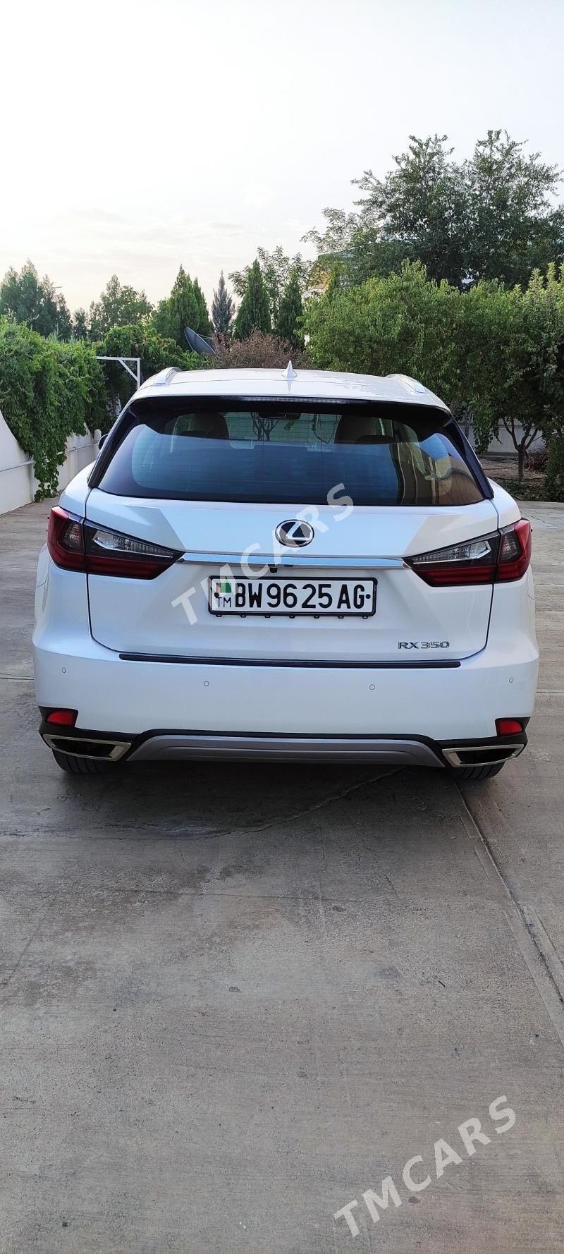 Lexus RX 350 2020 - 830 000 TMT - Çoganly - img 2