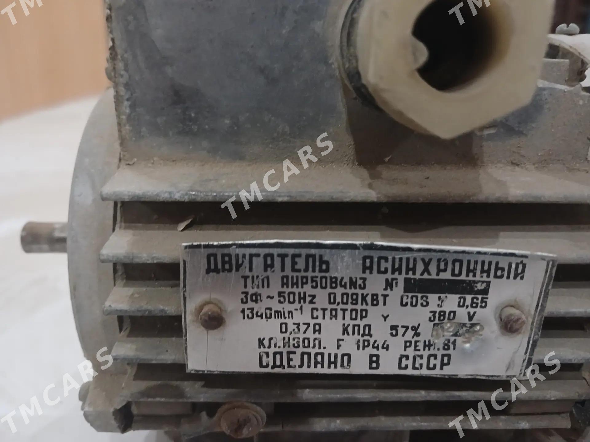 elektrodwigatel - Ak bugdaý etraby - img 3