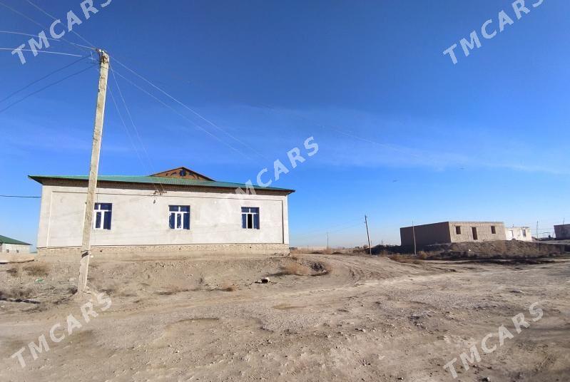 Ucaska - Daşoguz - img 2