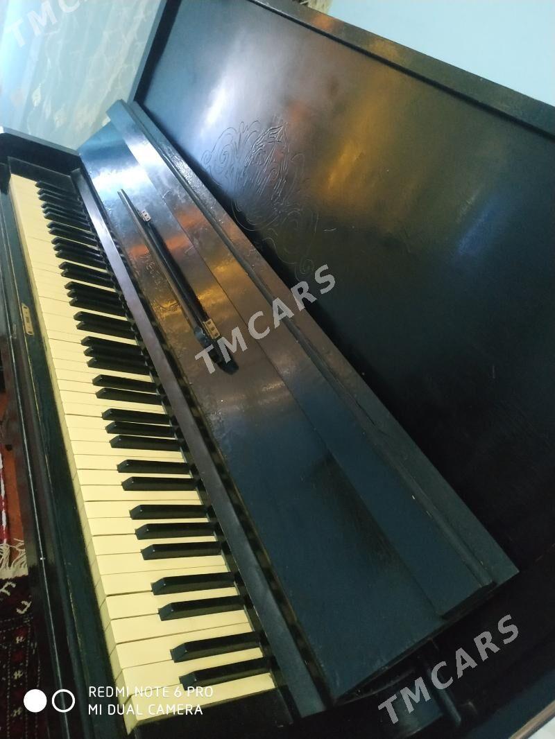 piano belarus - Бузмеин ГРЭС - img 2