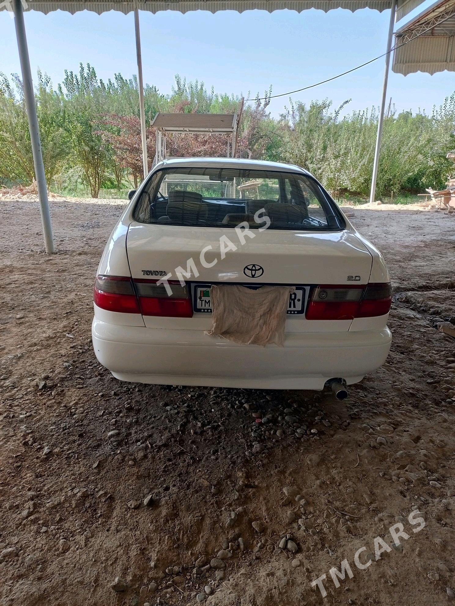 Toyota Corona 1992 - 50 000 TMT - Векильбазар - img 3