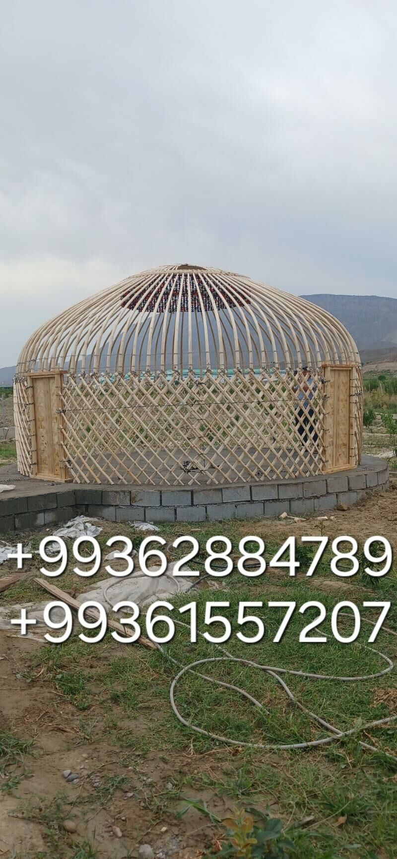 Ak öÿ gara öÿ gamyş - Garadamak - img 8