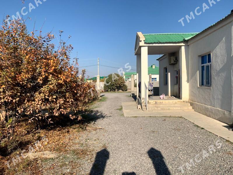 Gökdepe şāher howly - Гёкдепе - img 4