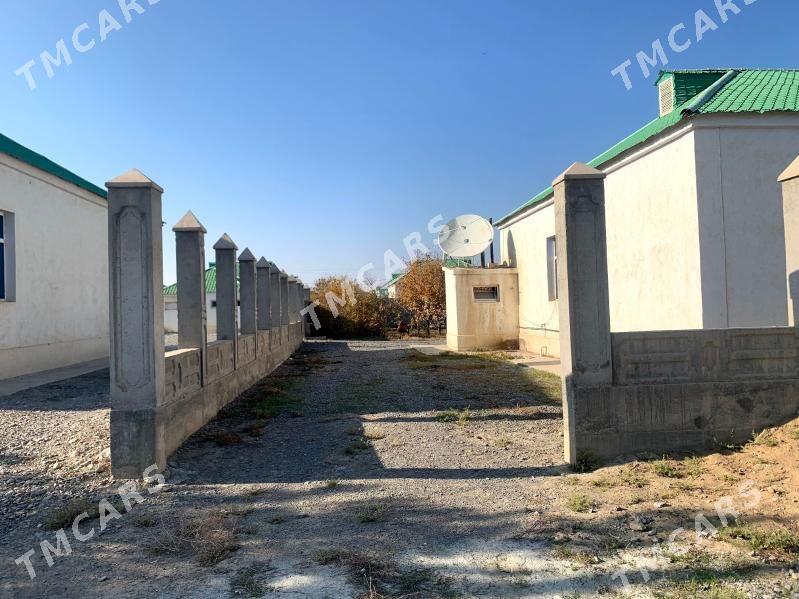 Gökdepe şāher howly - Гёкдепе - img 5