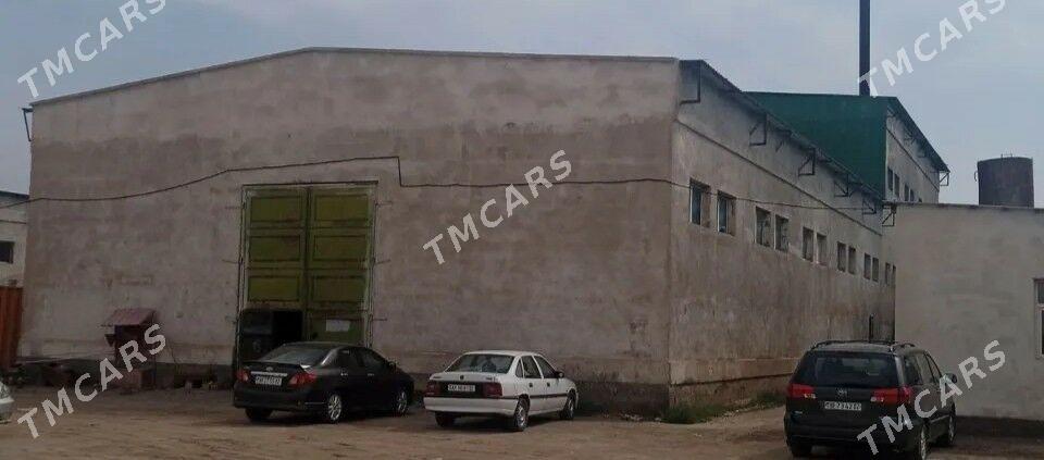 satlyk biznes - Şabat etr. - img 4