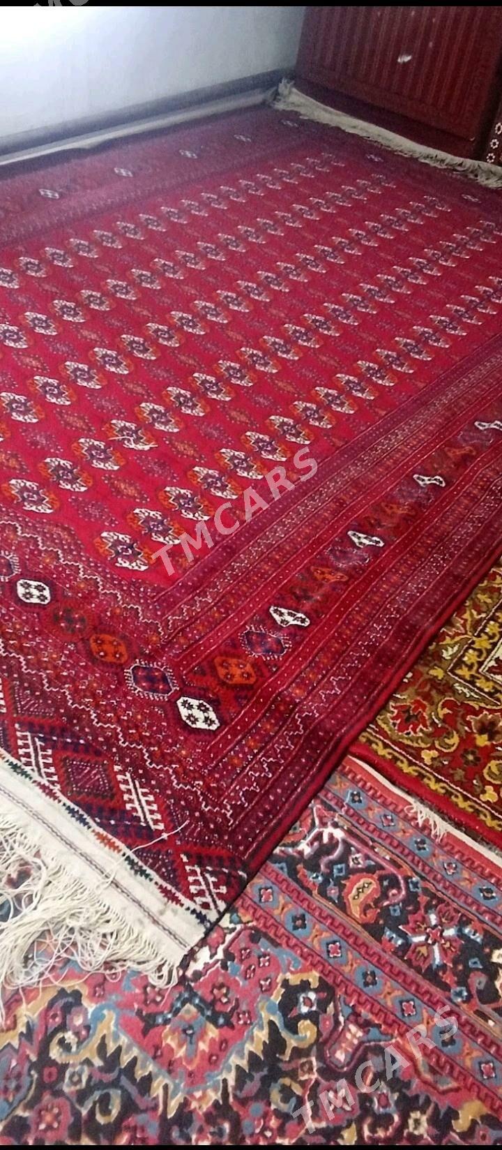 Turkmen haly - Mary - img 4