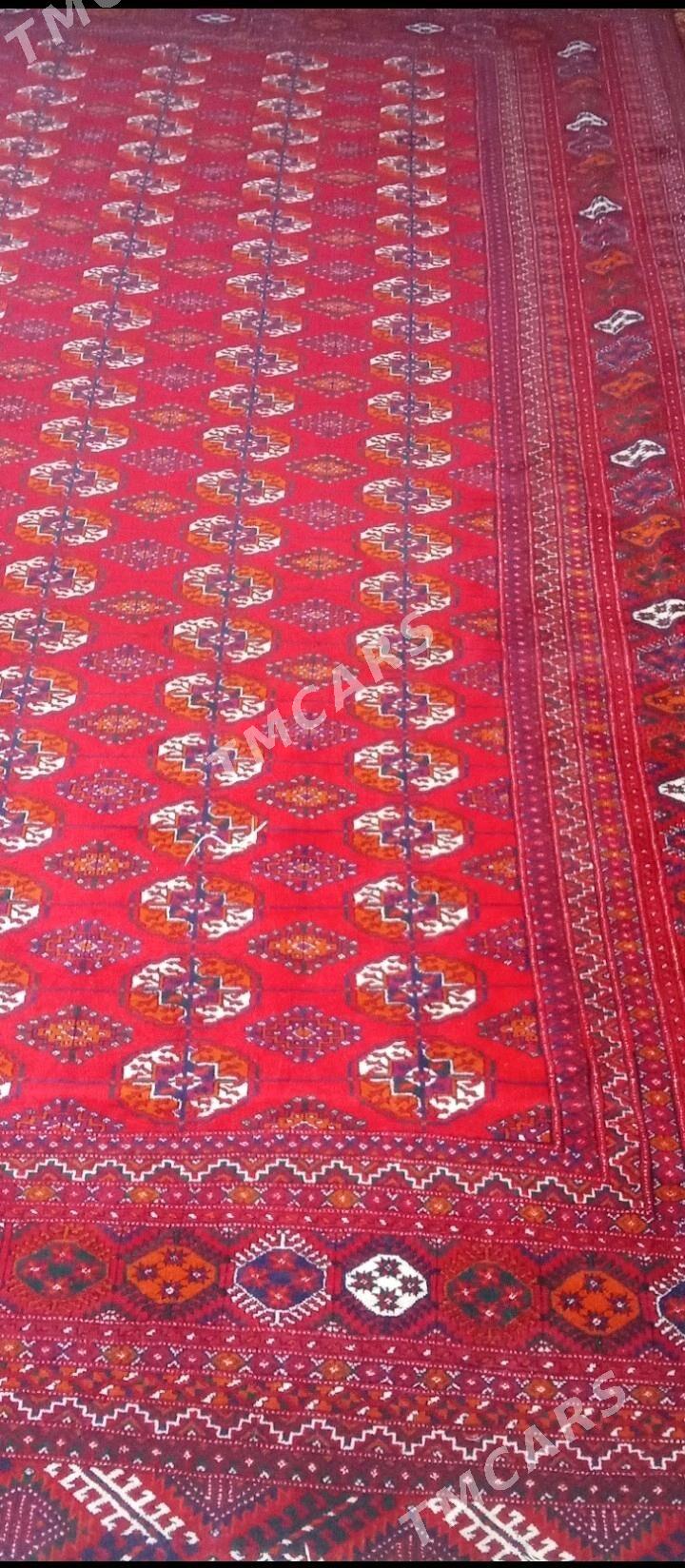 Turkmen haly - Mary - img 3