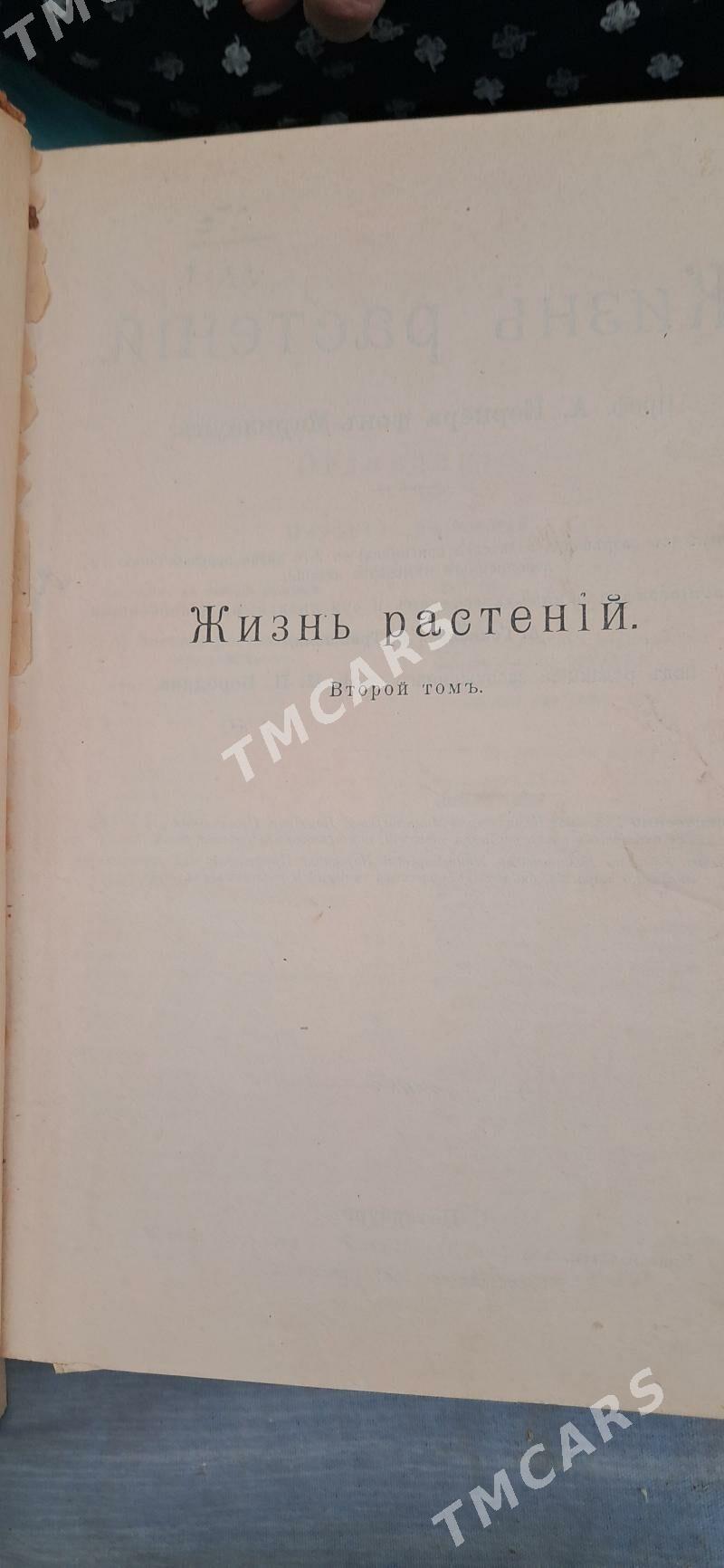 антиквариат - Türkmenabat - img 8
