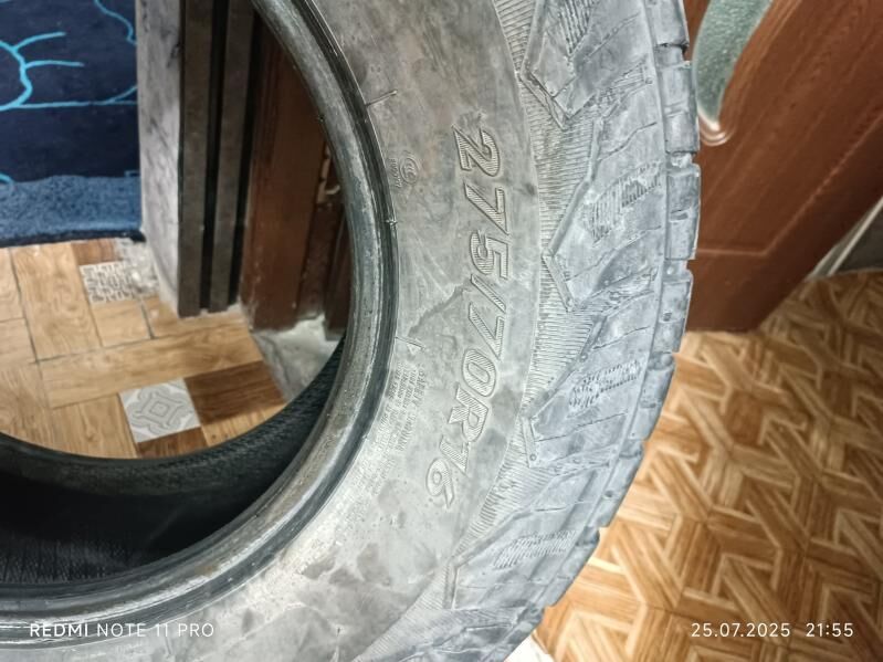 Teger 300 TMT - Mary - img 1