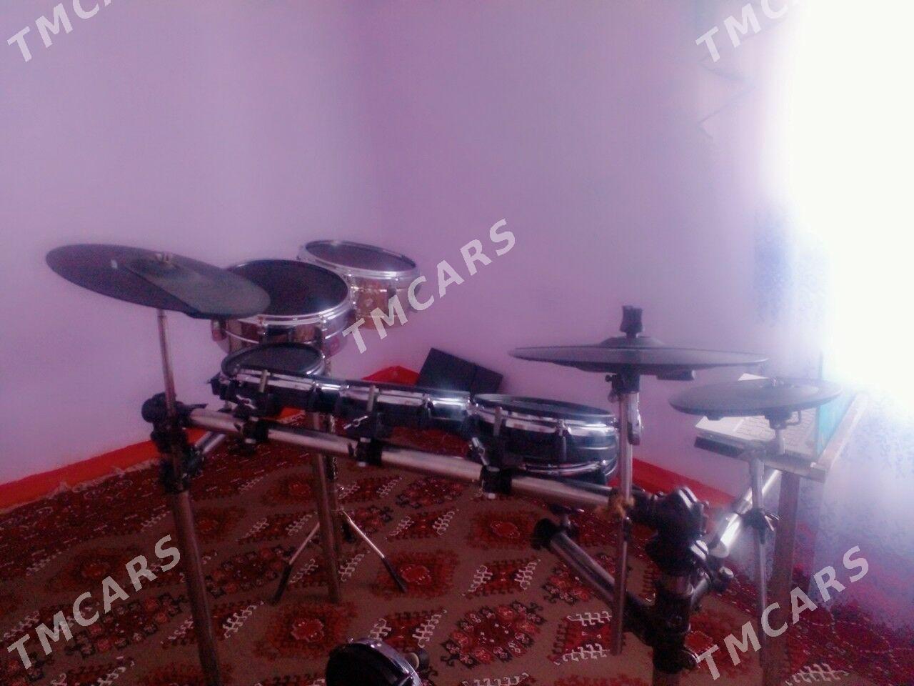 ALESIS BARABAN - Tejen - img 3