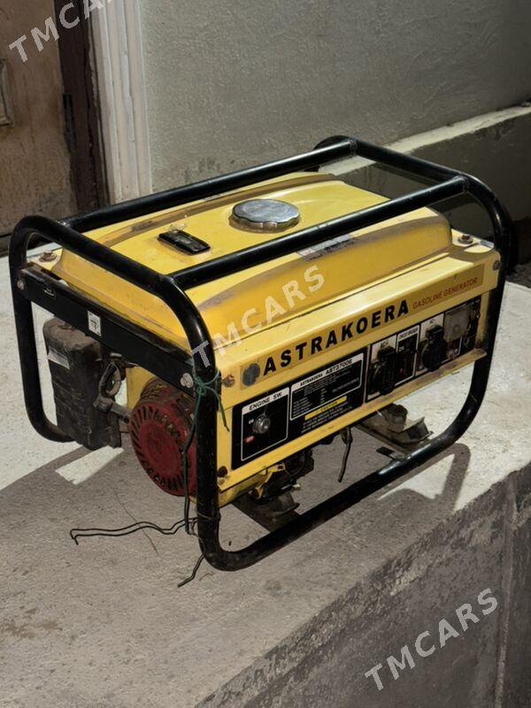 generator - Mary - img 2