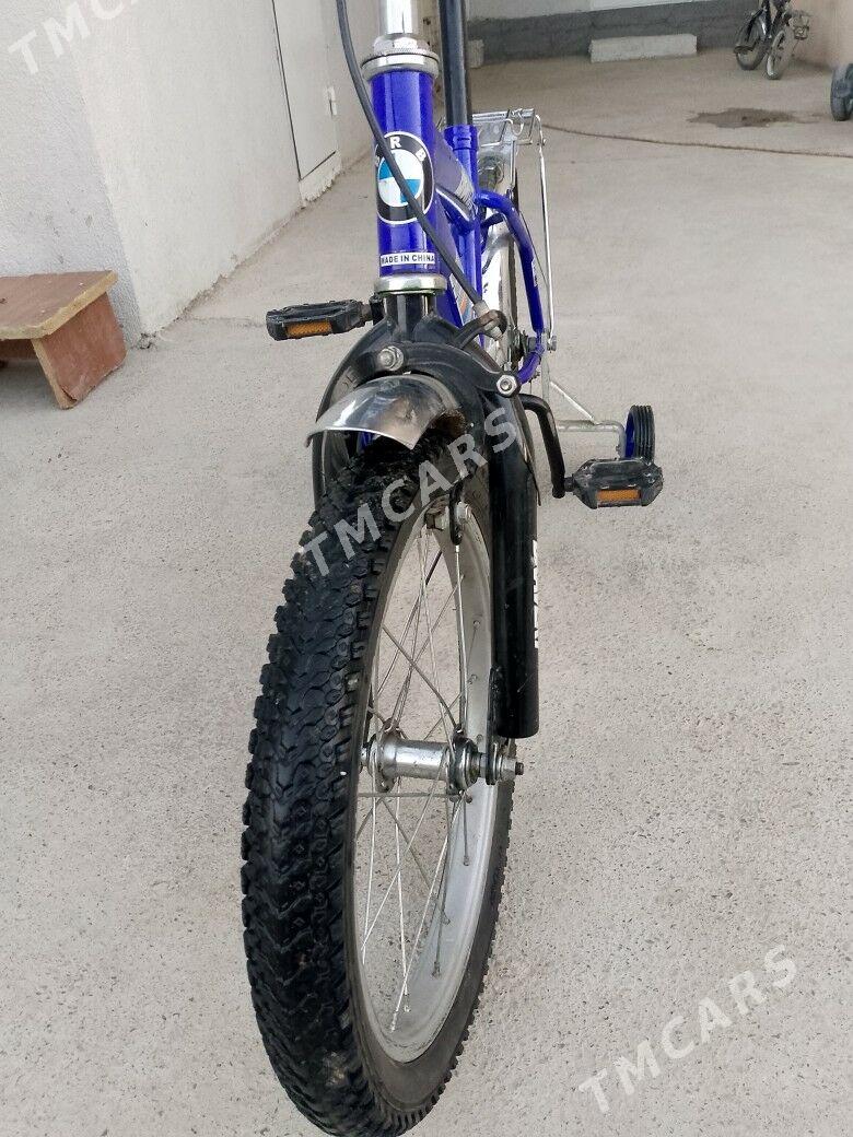 tigir 16 lyk - Bagyr - img 4