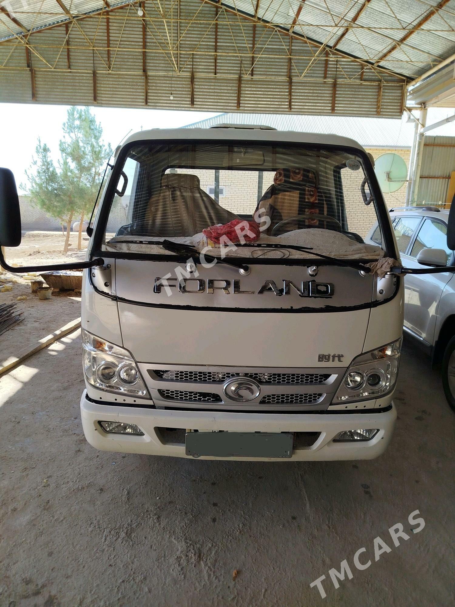 Forland H2 2016 - 160 000 TMT - Каракумский этрап - img 3