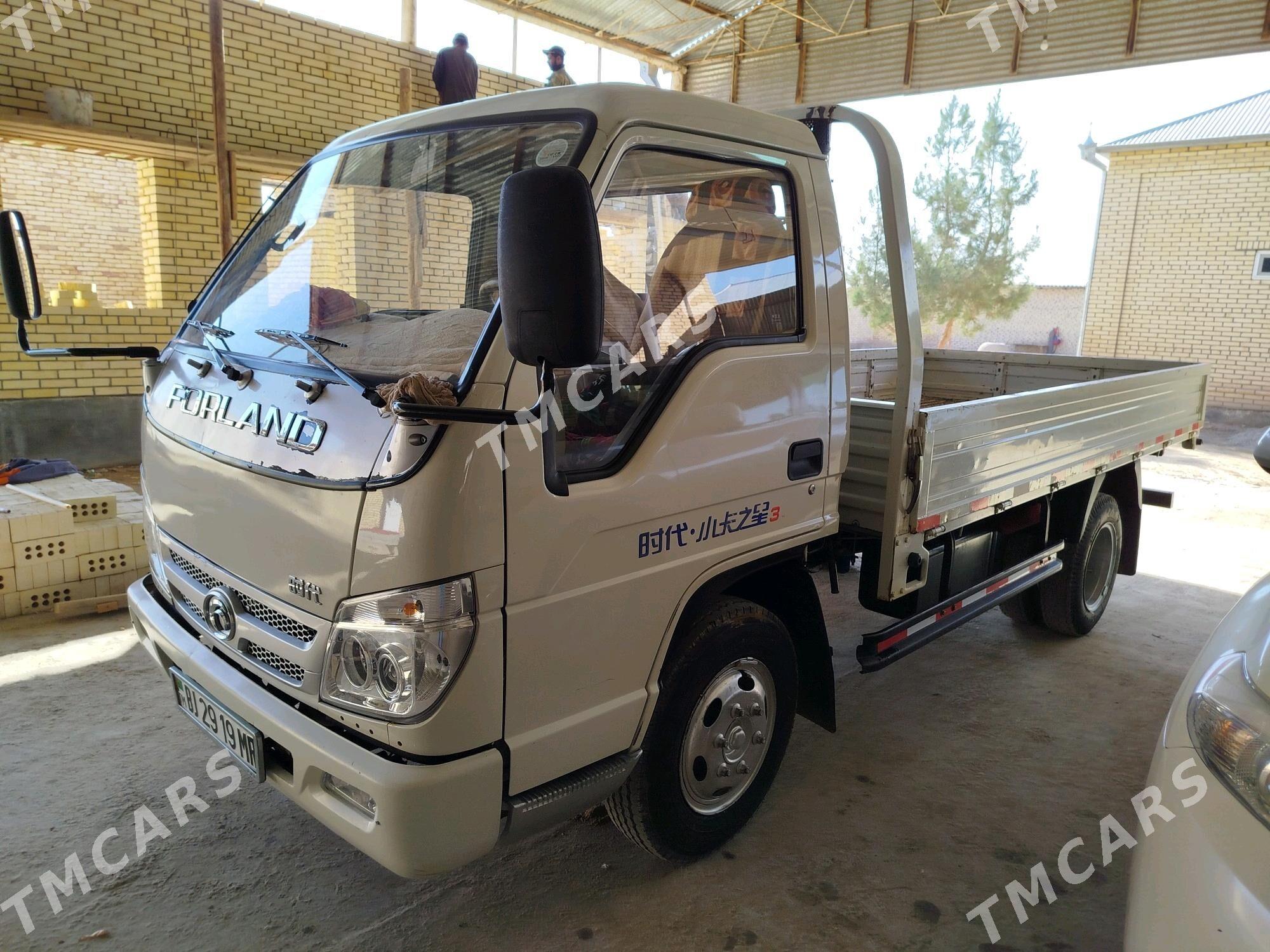 Forland H2 2016 - 160 000 TMT - Каракумский этрап - img 4