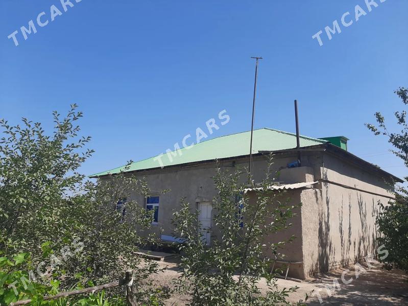 ucaska jay  Sabat etrap - Şabat etr. - img 4