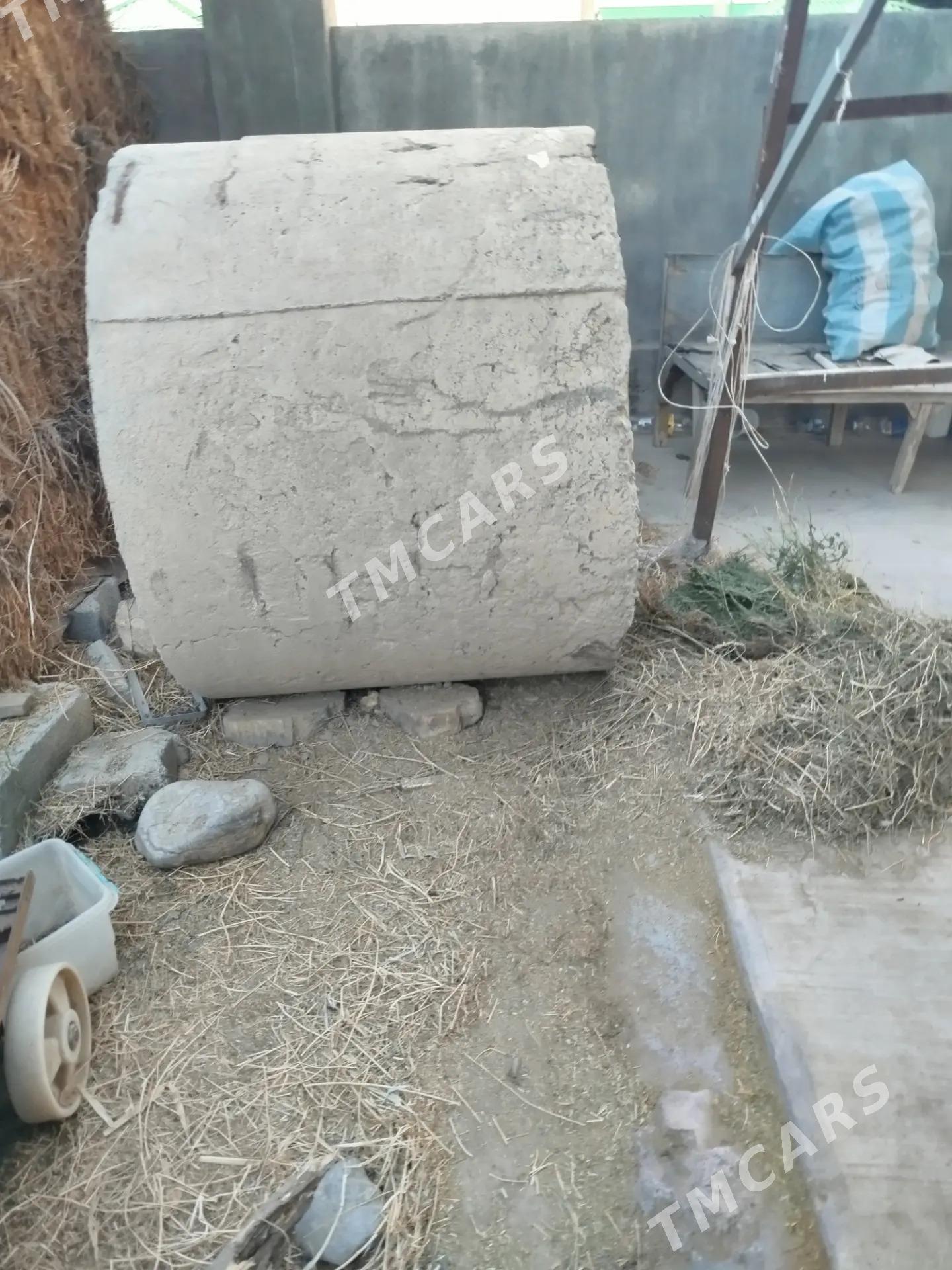 Kolsa - Aşgabat - img 2