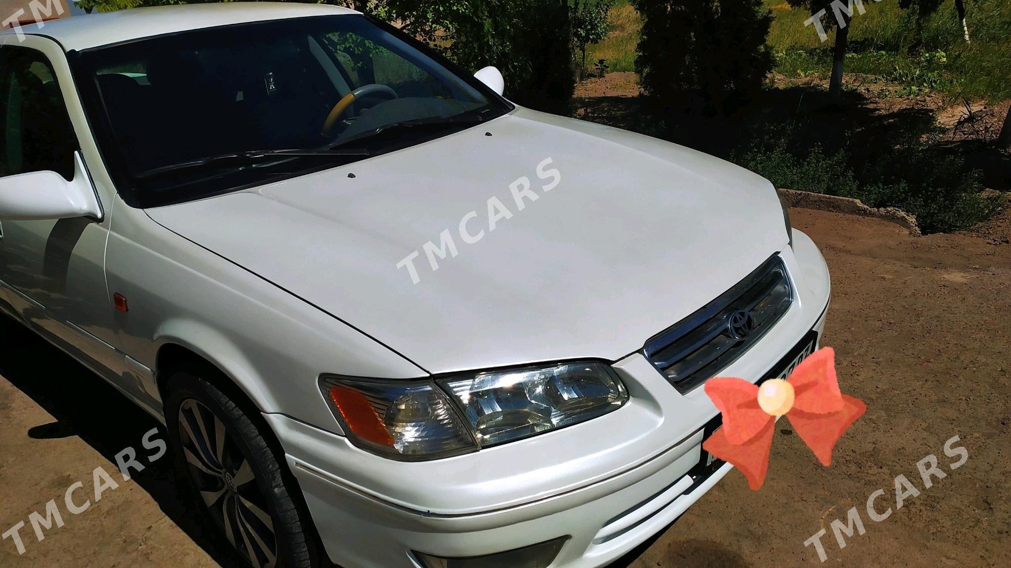 Toyota Camry 2000 - 115 000 TMT - Гороглы (Тагта) - img 3