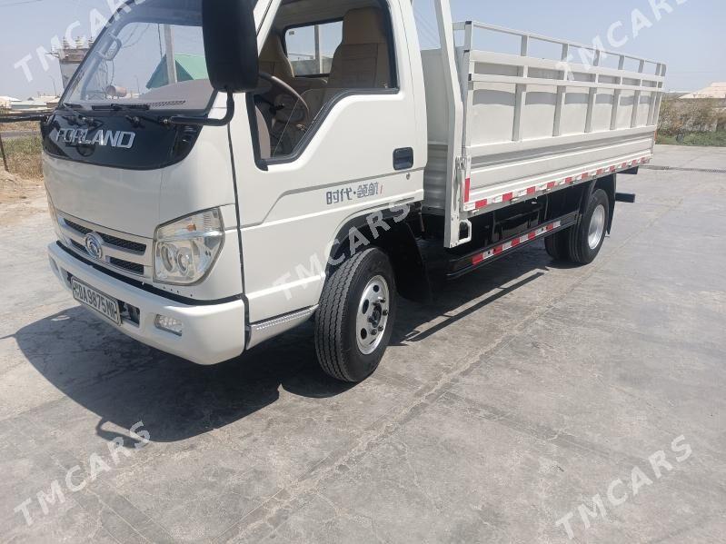 Forland H2 2013 - 130 000 TMT - Мары - img 6