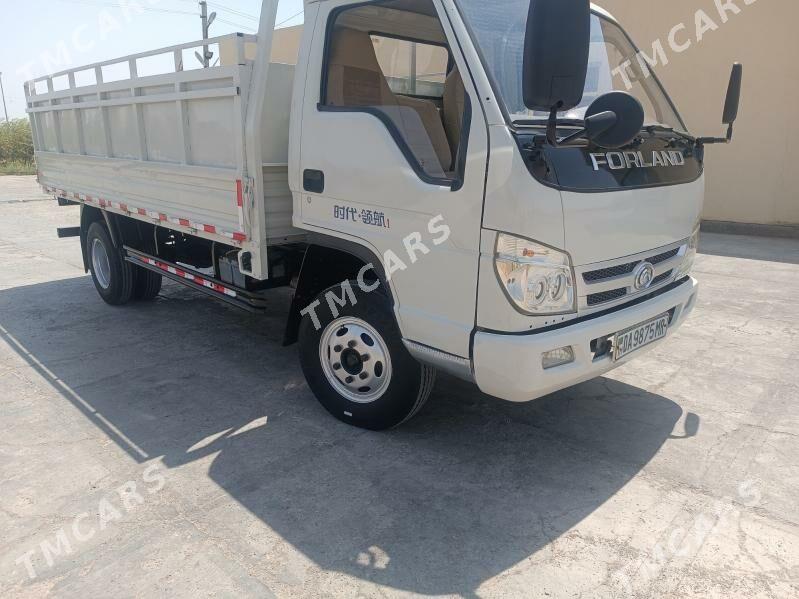 Forland H2 2013 - 130 000 TMT - Мары - img 5