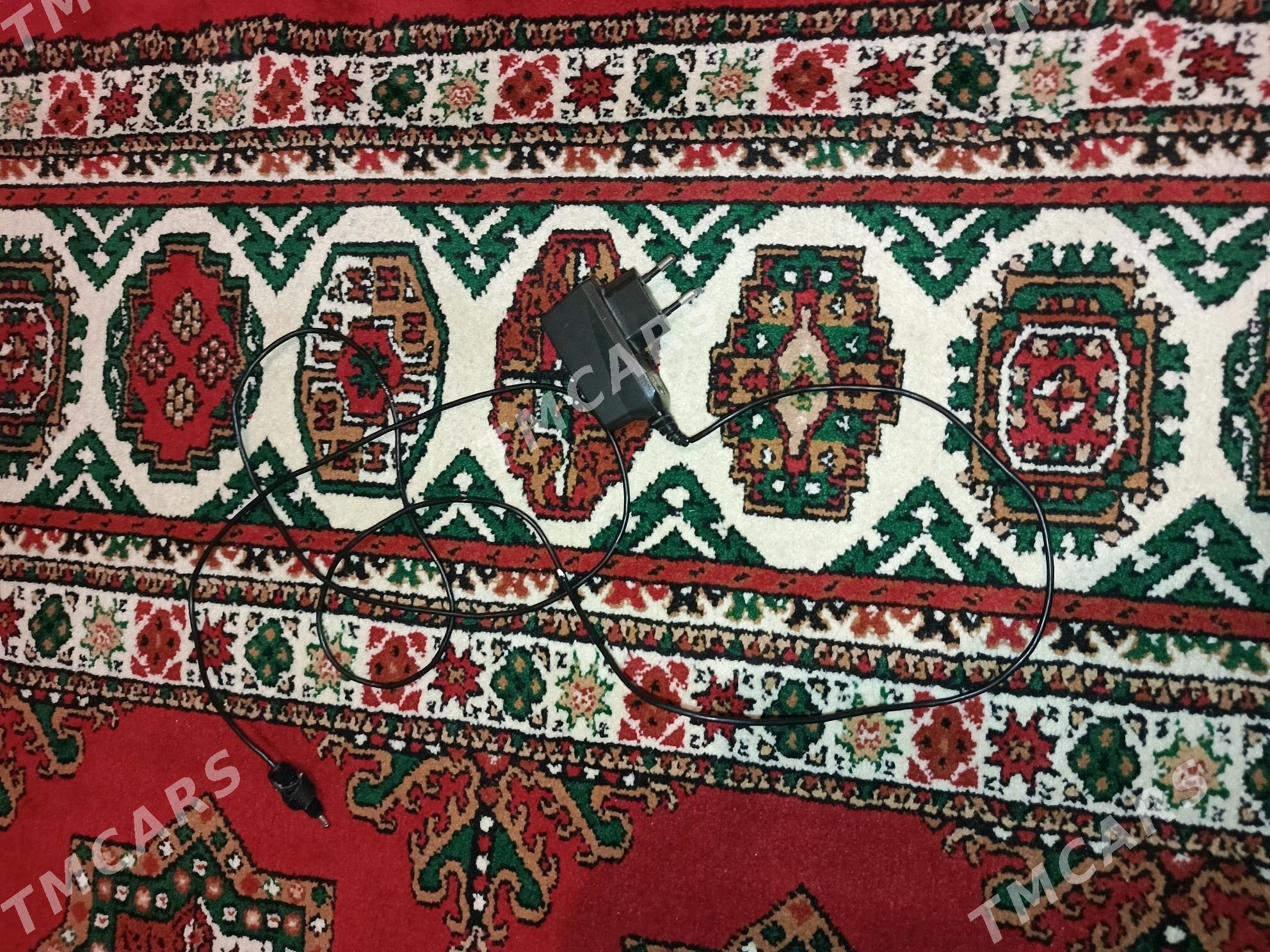 Nokýa zarýatnik - Gökje - img 3