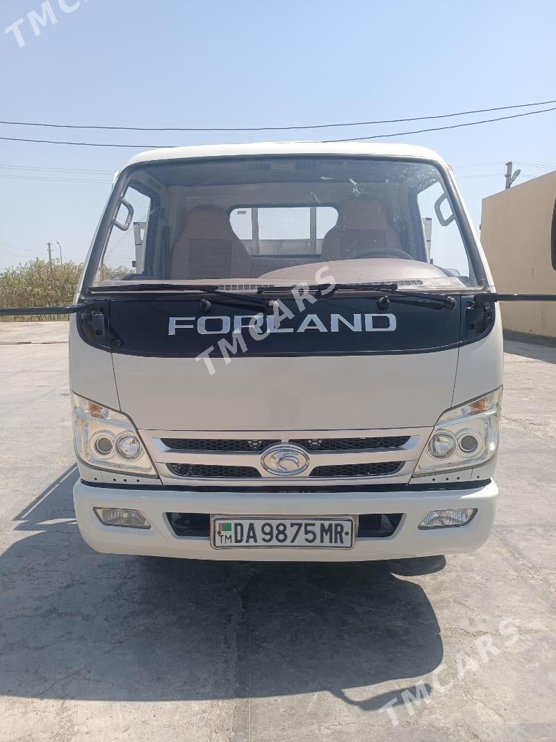Forland H2 2013 - 130 000 TMT - Мары - img 8