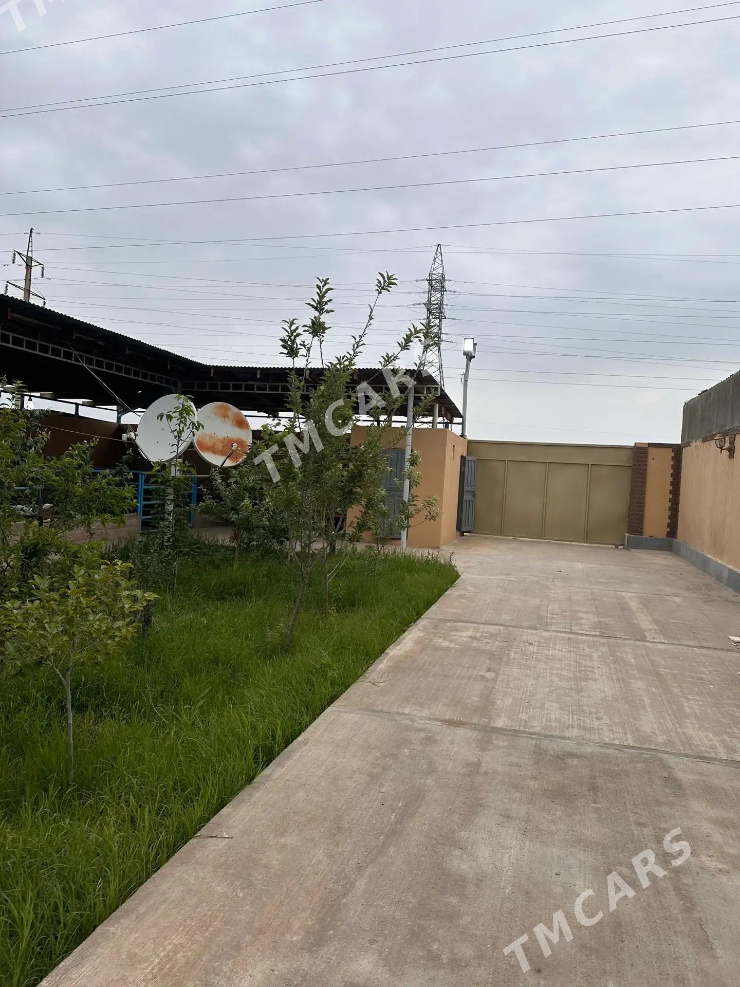GYSSAGLY SATLYK DAÇA/ÄNEW - Анев - img 2