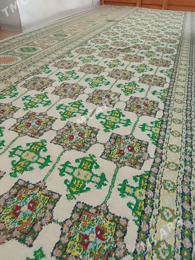 haly - Aşgabat - img 5