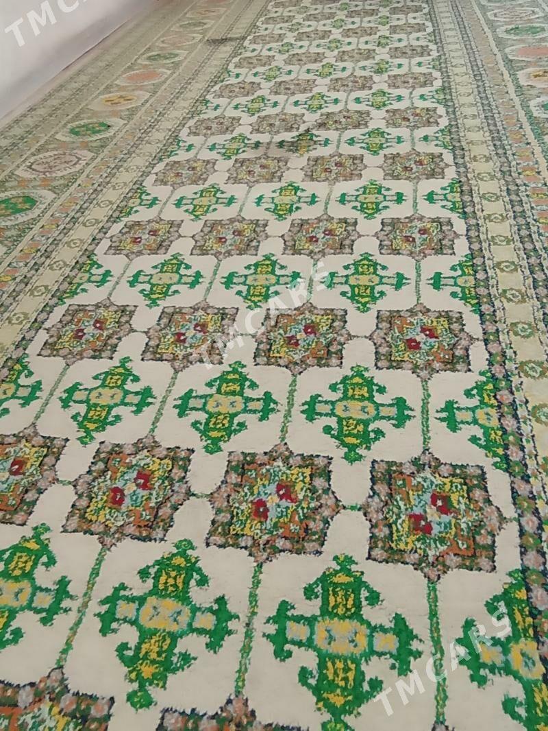 haly - Aşgabat - img 4