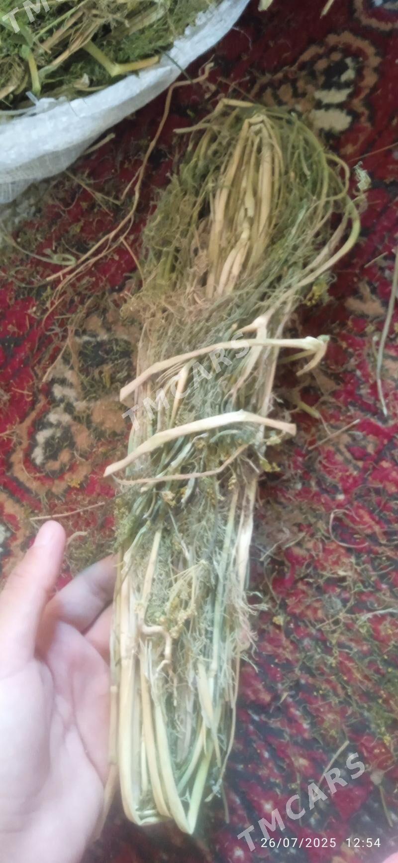 gury şibit - Kaka - img 3