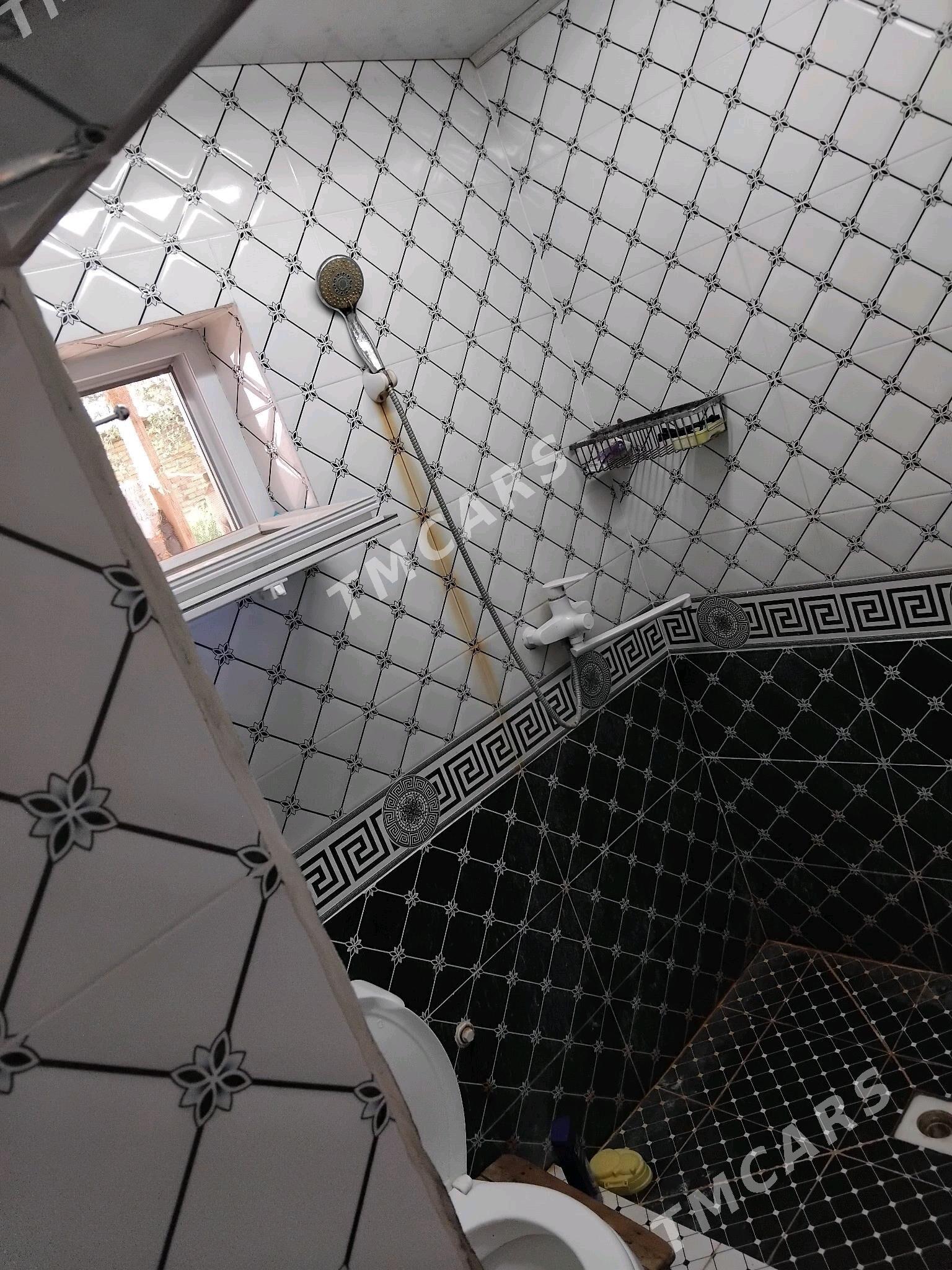 opşit jaý - Boldumsaz - img 4